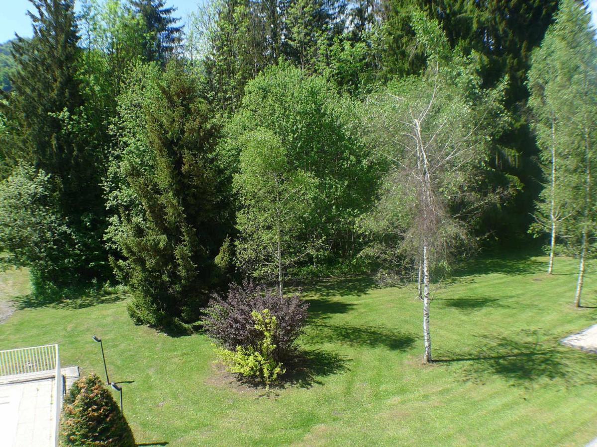 Studio Mansarde Avec Balcon, Piscine Et Parking Souterrain A Samoens - Fr-1-629-92 외부 사진