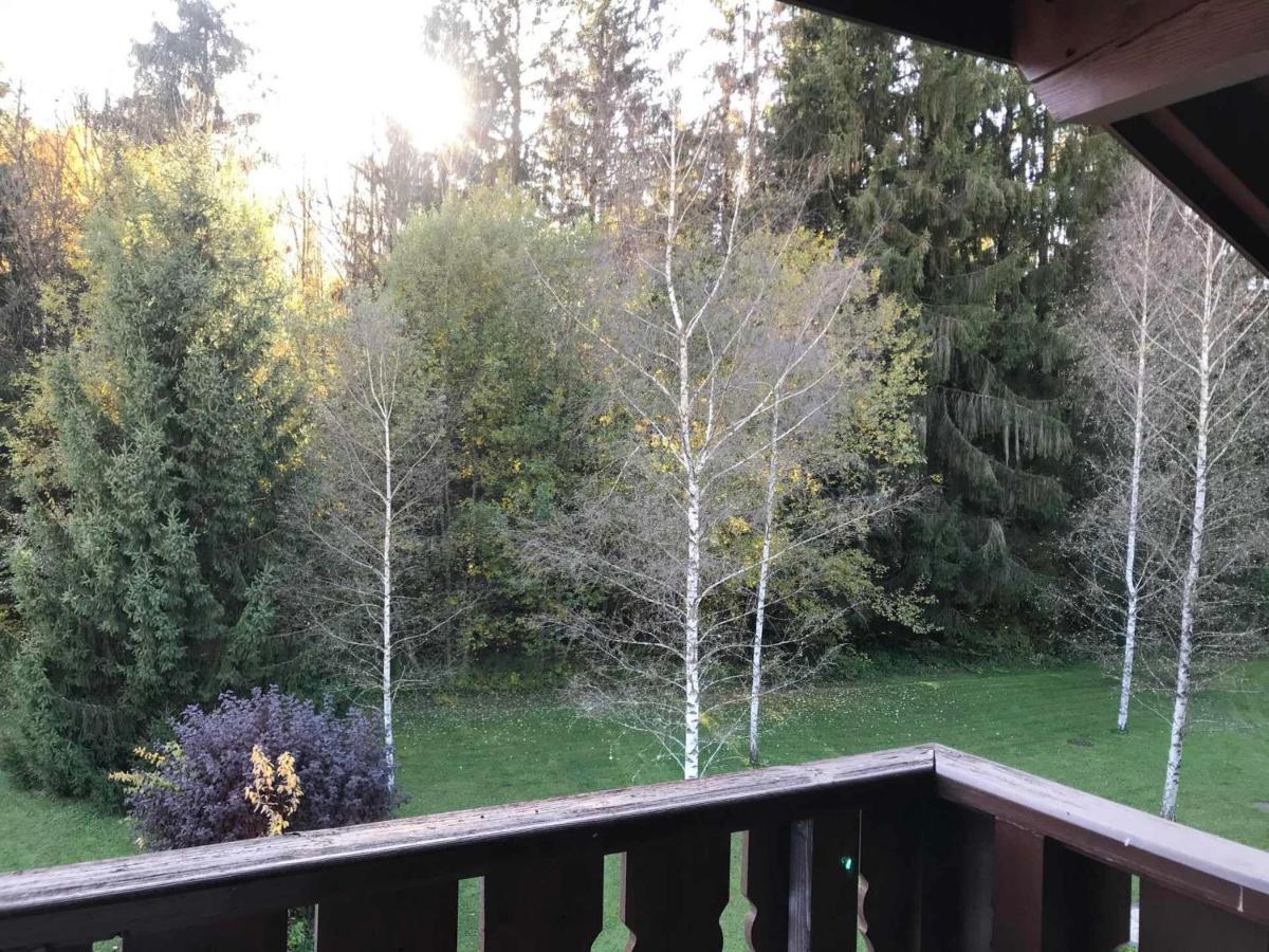Studio Mansarde Avec Balcon, Piscine Et Parking Souterrain A Samoens - Fr-1-629-92 외부 사진
